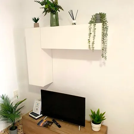 Seaside Whale Wifi 1i *