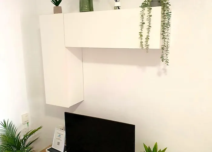 Seaside Whale Wifi 1i *