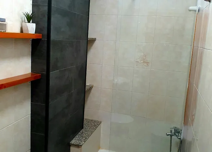 Seaside Whale Wifi 1i