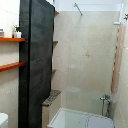 Seaside Whale Wifi 1i